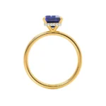 Blue Sapphire & Diamond 18k Yellow Gold Petite Hidden