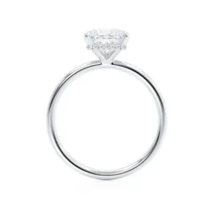 PARIS Princess Lab Diamond 18k White Gold Petite Hidden Halo