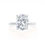 PARIS Elongated Cushion Lab Diamond Platinum Hidden Halo