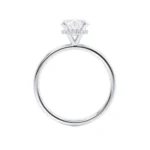 PARIS Round Lab Diamond Platinum Hidden Halo